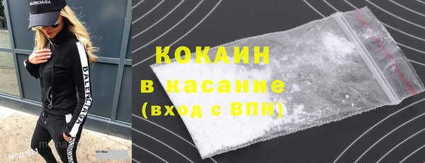 индика Армянск