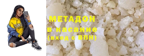 индика Аркадак