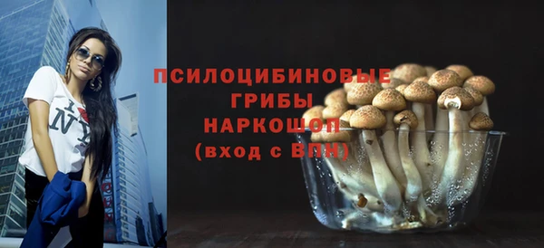 индика Армянск