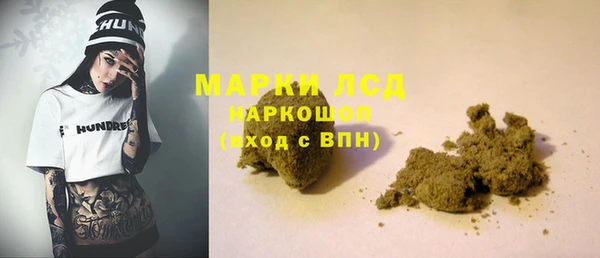 индика Аркадак
