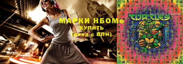 индика Армянск