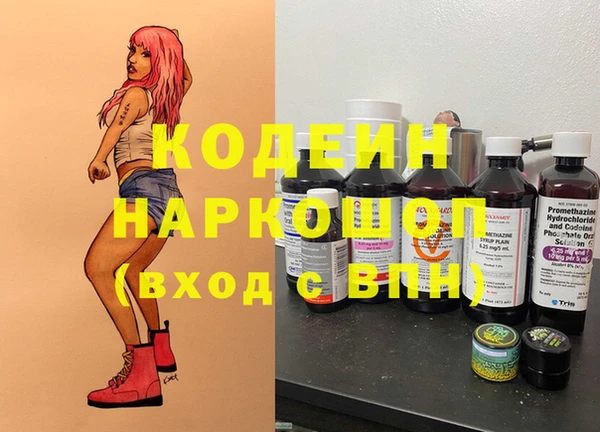 индика Аркадак