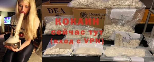 индика Аркадак