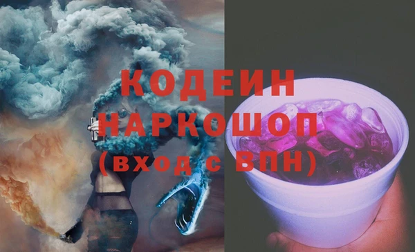 индика Аркадак
