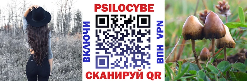 Псилоцибиновые грибы Cubensis  МЕГА зеркало  Богучар  купить  