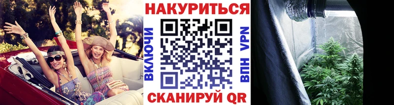 Шишки марихуана MAZAR mega как зайти Богучар купить наркоту
